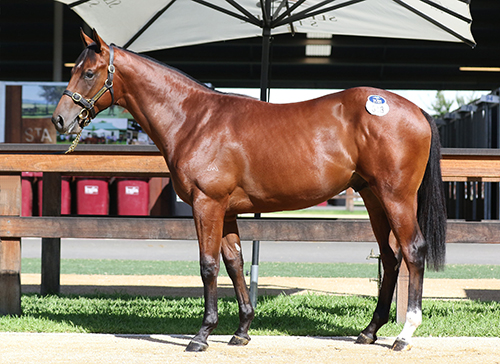 RUBICK x FEDERICA COLT.